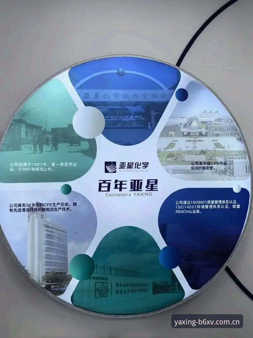 YAXING亚星旧版兼容登录使用指南 亚星体育平台旧版兼容登录:一把钥匙开两扇门,别让版本卡住你