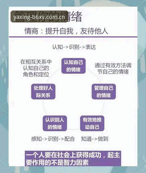 亚星2026新版入口 裁判马宁的“反情绪决策”操作指南——从管泽元播客看专业人格的养成